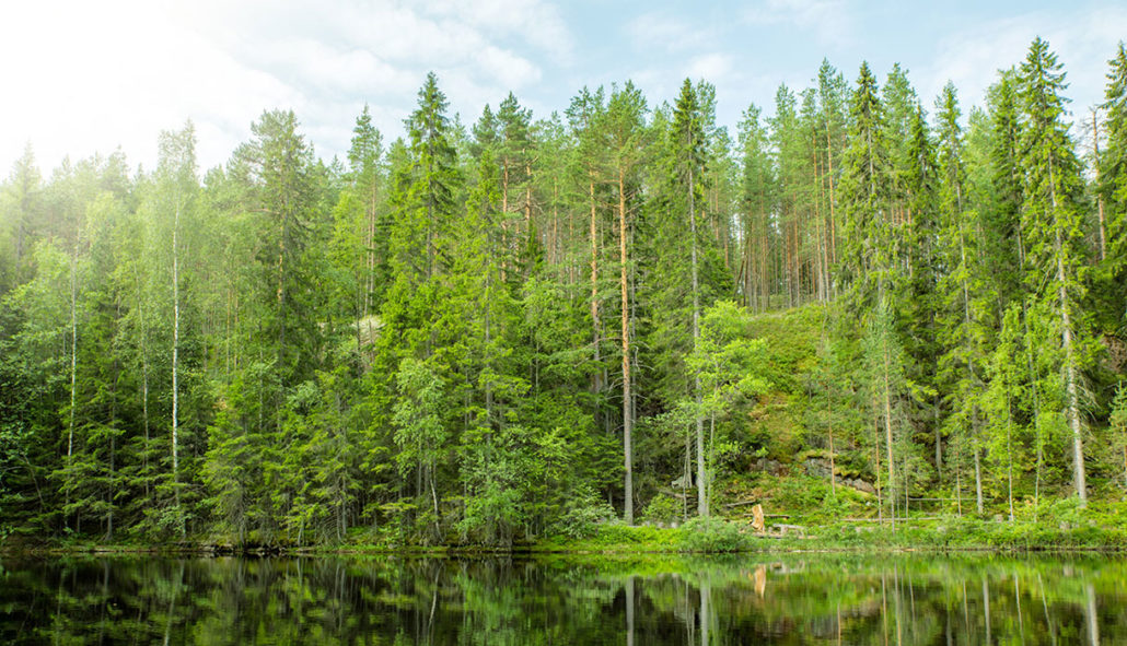 Viltkött hem till dörren